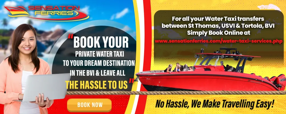water-taxi-ad-2.webp
